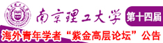 草，啊，日，在线观看网站网址南京理工大学第十四届海外青年学者紫金论坛诚邀海内外英才！